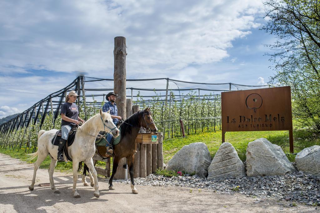 Agritur La Dolce Mela - Adults Only Villa Vezzano Kültér fotó